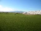 Photo of Condado de Alhama community. <br /><em> Condado de Alhama community, taken on 24 October 2009 by onnoweug</em>