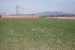 Photo of Condado de Alhama community. <br /><em> Condado de Alhama community, taken on 29 March 2009 by nolankn89</em>