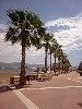 <strong>The Port of Maz June 2013</strong> <br /><em> Condado de Alhama community, taken on 23 June 2012 by aliton</em>