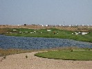 <strong>Photo of Condado de Alhama - No description provided</strong> <br /><em> Condado de Alhama community, taken on 18 July 2010 by Billbo</em>