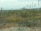 Photo of Condado de Alhama community. <br /><em> Condado de Alhama community, taken on 27 October 2006 by dean melling</em>