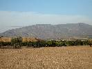 Photo of Condado de Alhama community. <br /><em> Condado de Alhama community, taken on 16 September 2008 by barney111</em>