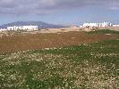 Photo of Condado de Alhama community. <br /><em> Condado de Alhama community, taken on 24 January 2009 by redpath</em>