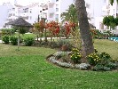 <strong>maintenace of the gardens at golf gardens miraflores</strong> <br /><em> Golf Gardens Miraflores community, taken on 26 April 2010 by promedia</em>