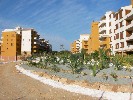 <strong>La Recoleta Puplic Garden</strong> <br /><em> La Recoleta  community, taken on 11 February 201 by gordon</em>