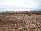 Photo of Jardines de Alhama community. <br /><em> Jardines de Alhama community, taken on 08 April 200 by michaelhardy</em>