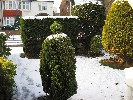 <strong>snow in front garden</strong> <br /><em> Sierra Golf community, taken on 08 January 2010 by fennelca</em>