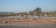 <strong>latest on roundabout</strong> <br /><em> Sierra Golf community, taken on 25 May 2012 by taraleisure</em>