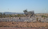 <strong>ditto</strong> <br /><em> Sierra Golf community, taken on 25 May 2012 by taraleisure</em>