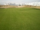 <strong>4th Green</strong> <br /><em> Terrazas de la Torre Golf Resort community, taken on 21 December 2009 by TerrazasGM</em>