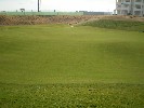 <strong>6th Green</strong> <br /><em> Terrazas de la Torre Golf Resort community, taken on 21 December 2009 by TerrazasGM</em>