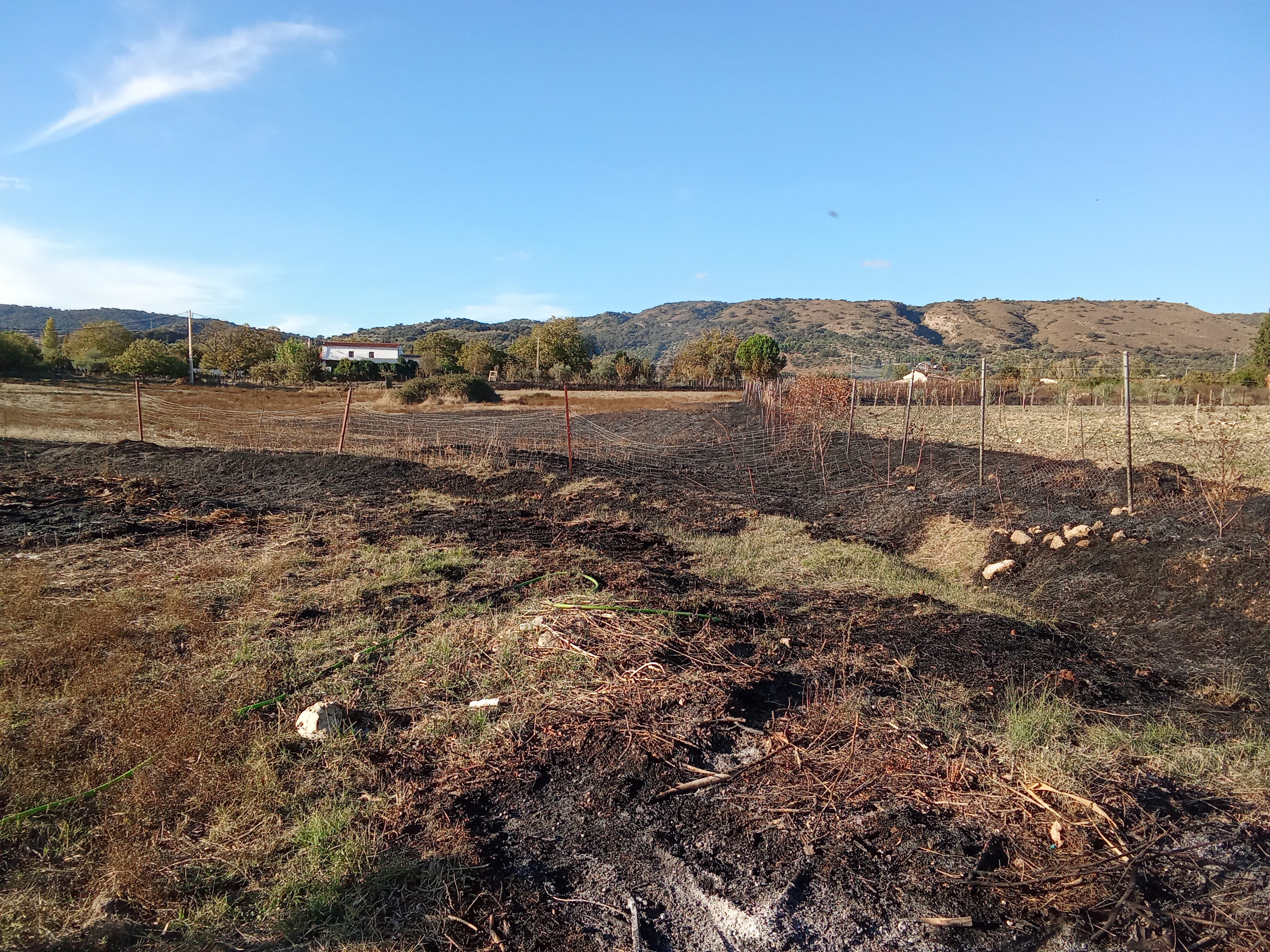 People struggle against the wind and rain in Malmö, Sweden, after a storm reached southern Sweden, Saturday Oct. 4, 2025. (Johan Nilsson/TT via AP)