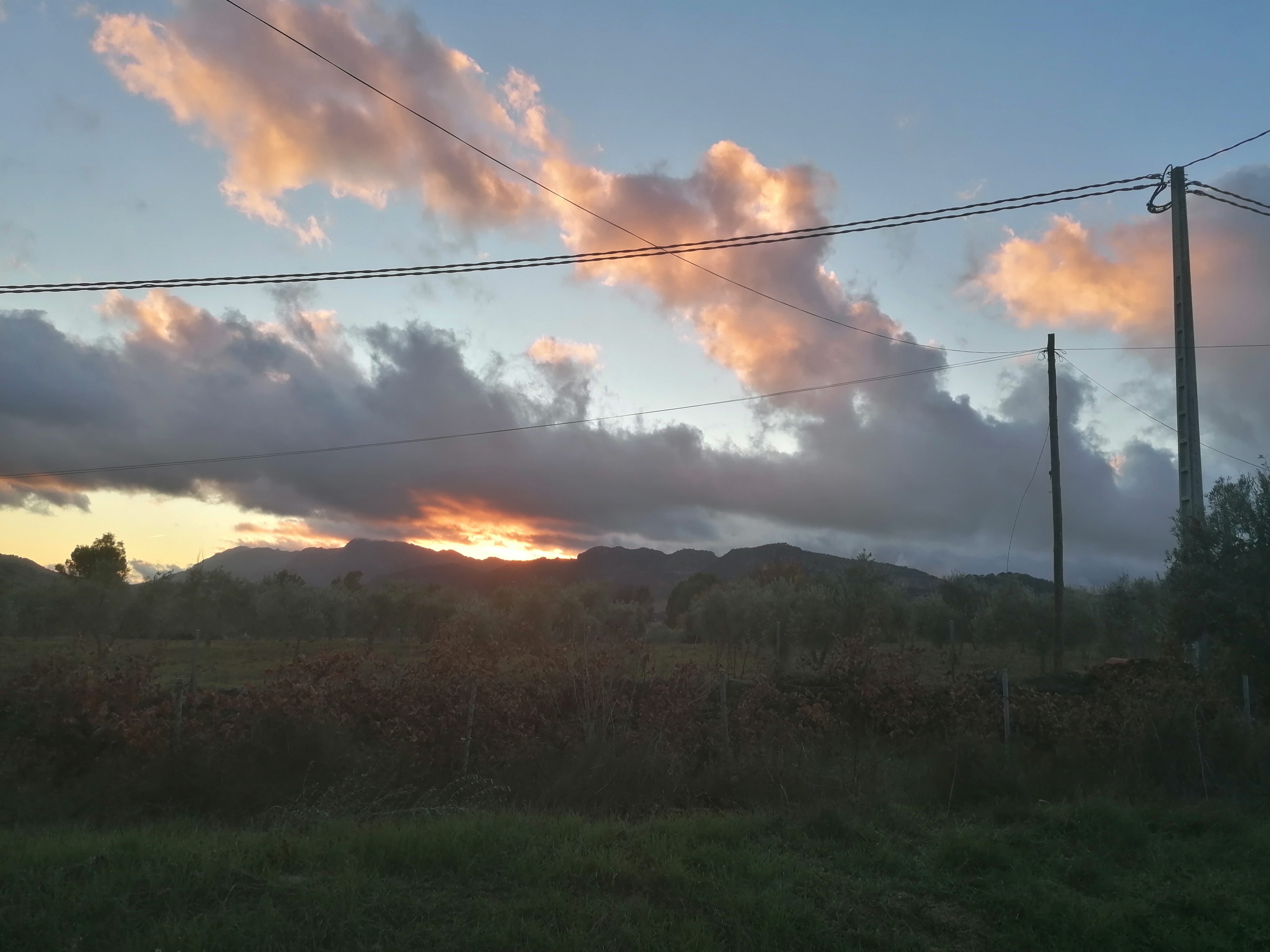 Resultado de imagen de frank and isa el muelle de arriate