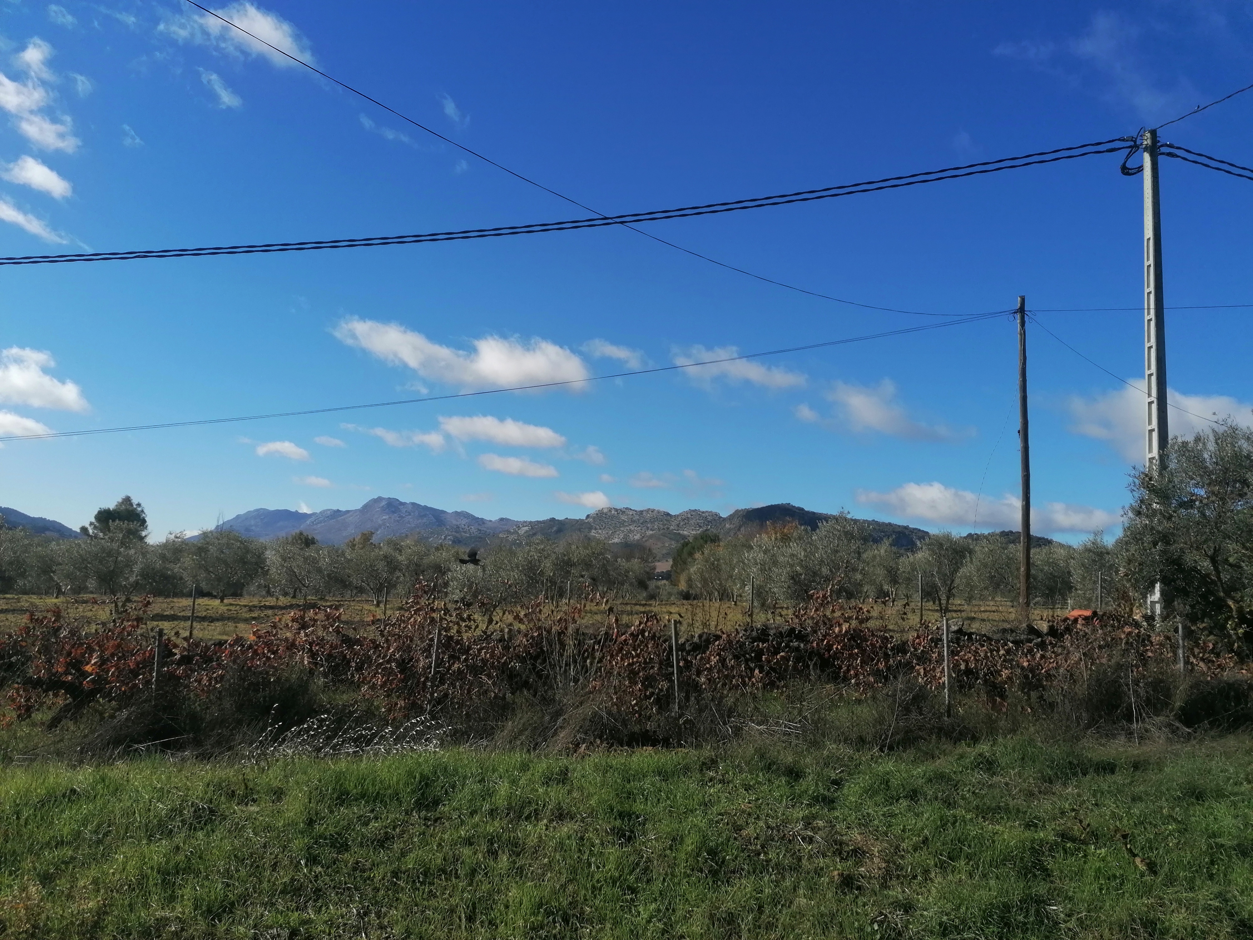 Resultado de imagen de frank and isa el muelle de arriate