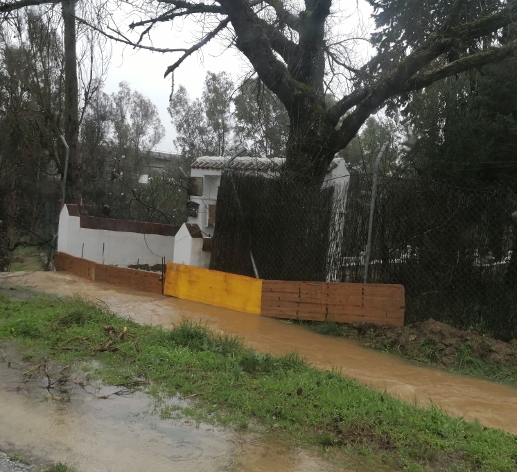 Fleece Hoodie Lidl Kapuzenpulli Fleece Jacket Crivit In Jacke Fleece Crivit Softshelljacke Damen