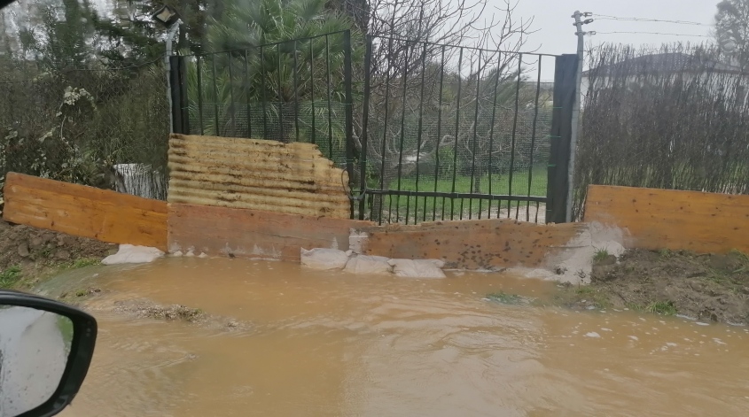 Fleece Hoodie Lidl Kapuzenpulli Fleece Jacket Crivit In Jacke Fleece Crivit Softshelljacke Damen