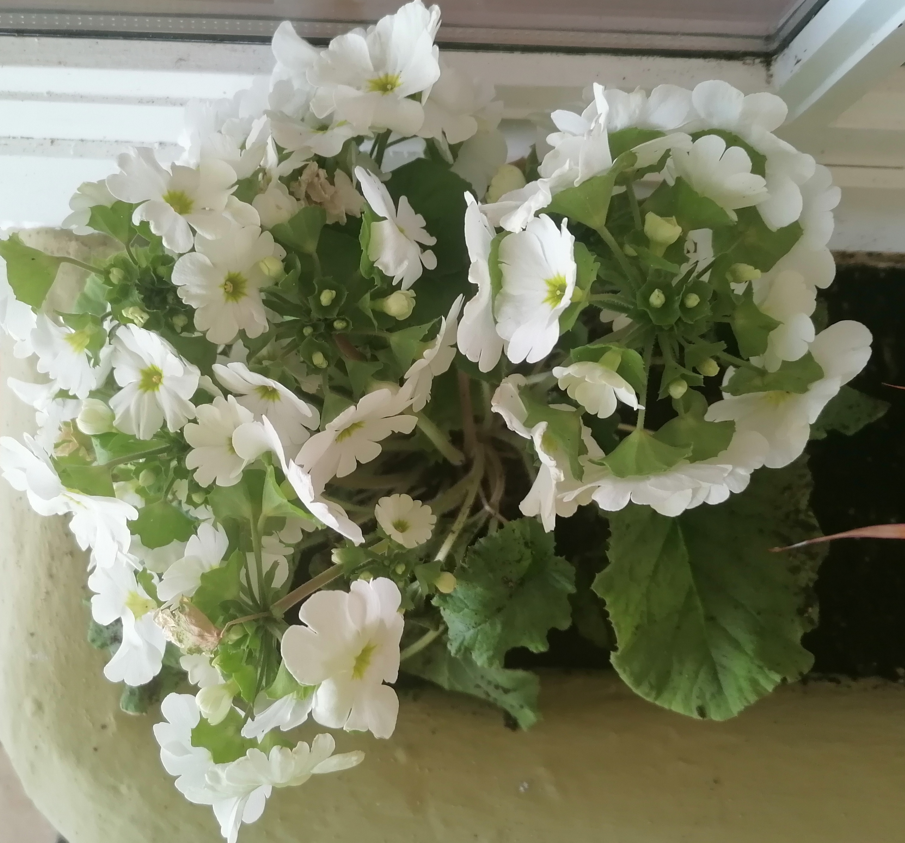 A puréed and simmering carrot soup in a pot with a spoon