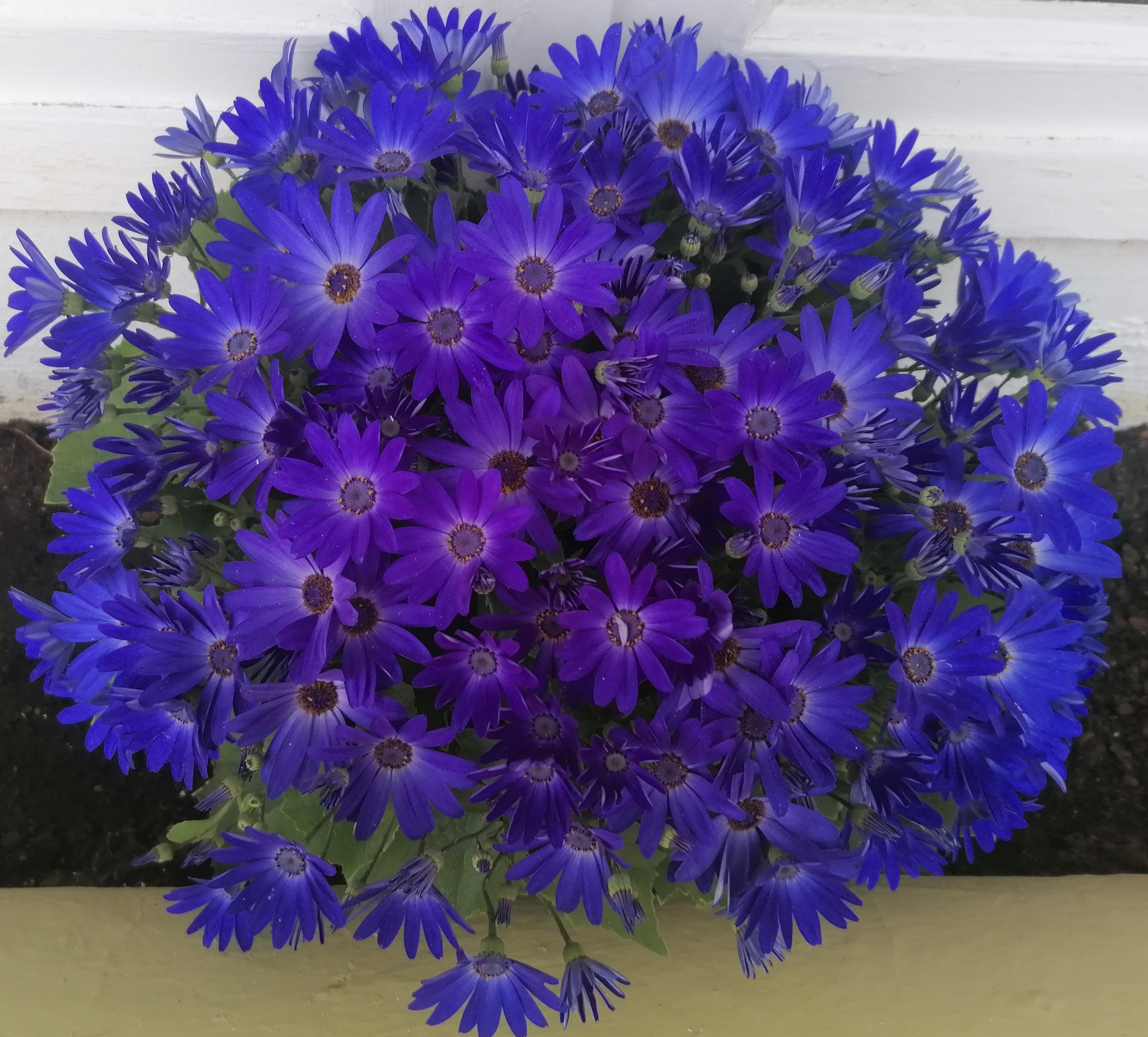 A puréed and simmering carrot soup in a pot with a spoon