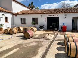 People struggle against the wind and rain in Malmö, Sweden, after a storm reached southern Sweden, Saturday Oct. 4, 2025. (Johan Nilsson/TT via AP)