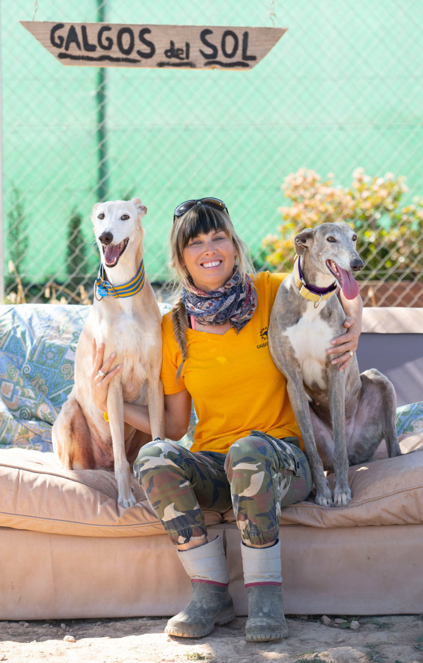 The Sun Features Galgos Del Sol